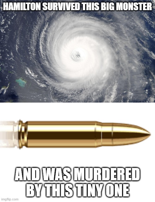 sometimes the biggest dangers aren't always the biggest threats | HAMILTON SURVIVED THIS BIG MONSTER; AND WAS MURDERED BY THIS TINY ONE | image tagged in hurricane satellite image,hamilton,bullet,aaron burr,memes,funny | made w/ Imgflip meme maker