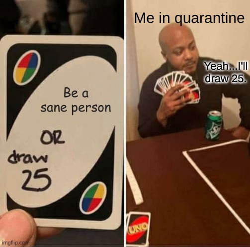 which one?... | Me in quarantine; Yeah...I'll draw 25. Be a sane person | image tagged in memes,uno draw 25 cards | made w/ Imgflip meme maker