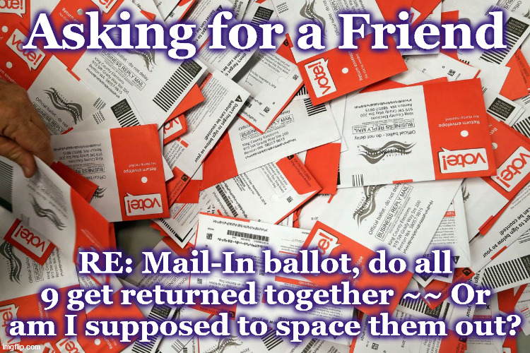 ballot | Asking for a Friend; RE: Mail-In ballot, do all 9 get returned together ~~ Or am I supposed to space them out? | image tagged in ballot | made w/ Imgflip meme maker