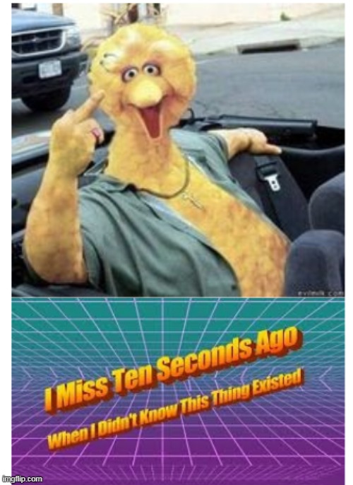 big bird made a career choice change | image tagged in i miss ten seconds ago | made w/ Imgflip meme maker