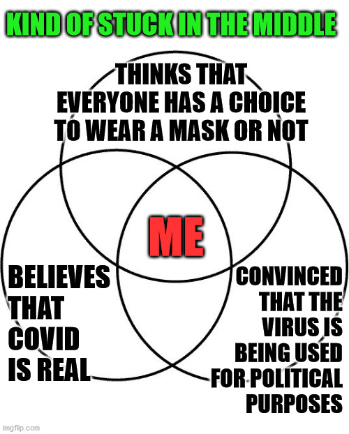 Caught in the middle again. | KIND OF STUCK IN THE MIDDLE; THINKS THAT EVERYONE HAS A CHOICE TO WEAR A MASK OR NOT; ME; BELIEVES THAT COVID 
IS REAL; CONVINCED 
THAT THE 
VIRUS IS 
BEING USED 
FOR POLITICAL 
PURPOSES | image tagged in venn diagram,covid,masks,political | made w/ Imgflip meme maker