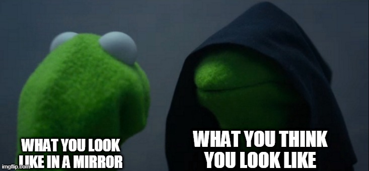 Evil Kermit | WHAT YOU THINK YOU LOOK LIKE; WHAT YOU LOOK LIKE IN A MIRROR | image tagged in memes,evil kermit | made w/ Imgflip meme maker