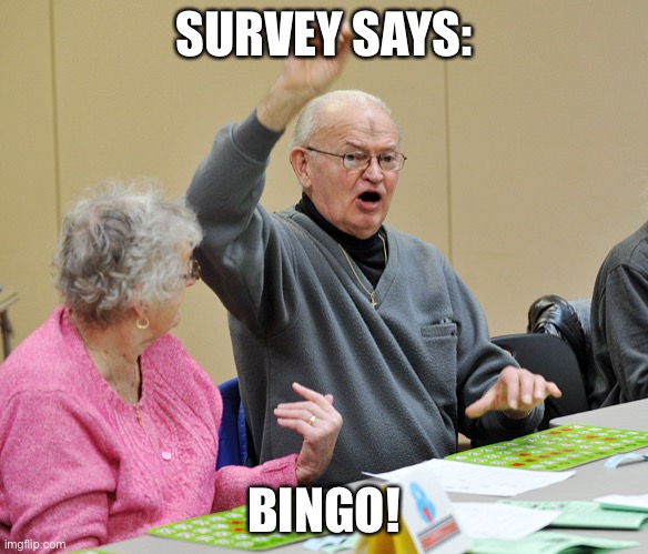 Bingo | SURVEY SAYS:; BINGO! | image tagged in bingo,survey says,exactly,yep,agreed,agree | made w/ Imgflip meme maker