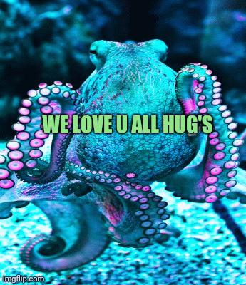 Ocean animals octopus we love u all hug's | WE LOVE U ALL HUG'S | image tagged in gifs | made w/ Imgflip images-to-gif maker