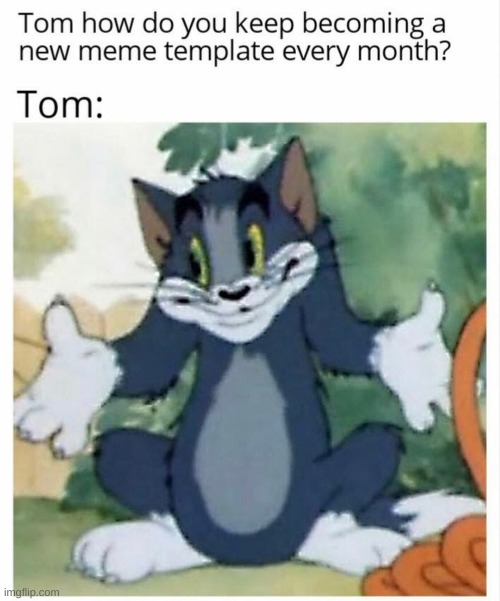tom | image tagged in tom and jerry,unsettled tom | made w/ Imgflip meme maker