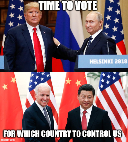 2020 election in a nutshell | TIME TO VOTE; FOR WHICH COUNTRY TO CONTROL US | image tagged in trump,biden,election | made w/ Imgflip meme maker