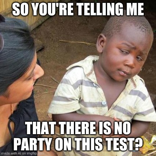 Third World Skeptical Kid Meme | SO YOU'RE TELLING ME; THAT THERE IS NO PARTY ON THIS TEST? | image tagged in memes,third world skeptical kid | made w/ Imgflip meme maker