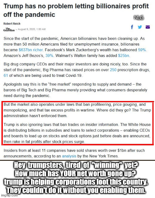 Billionaires are stealing money from us all. Glad you're OK with that. | NLG; Hey  trumpsters,  tired  of  "winning"  yet?
How much has YOUR net worth gone up? 
trump is helping corporations loot this country.
They couldn't do it without you enabling them. | image tagged in politics,political meme,political | made w/ Imgflip meme maker