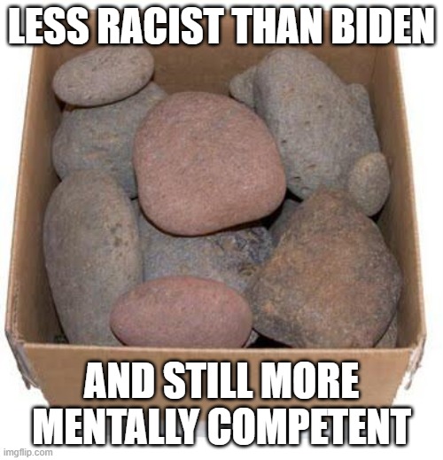 Box of Rocks | LESS RACIST THAN BIDEN; AND STILL MORE MENTALLY COMPETENT | image tagged in box of rocks | made w/ Imgflip meme maker