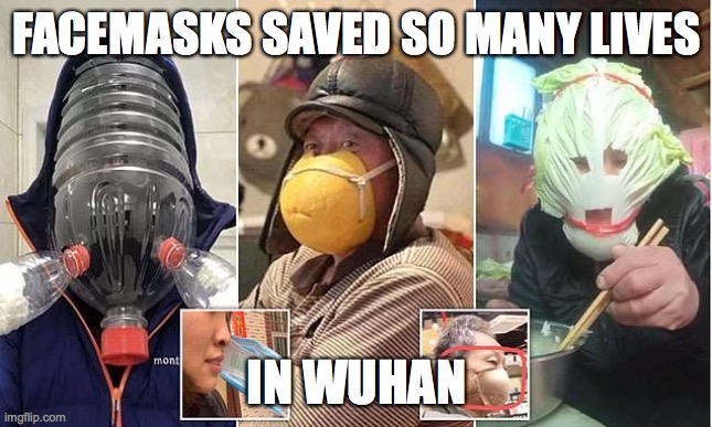face masks wuhan | FACEMASKS SAVED SO MANY LIVES; IN WUHAN | image tagged in face mask,wuhan | made w/ Imgflip meme maker