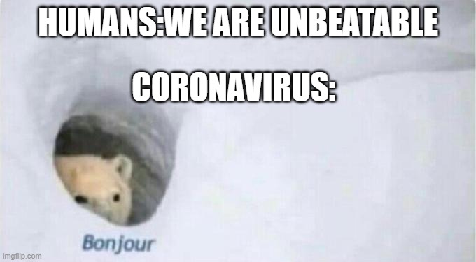 coronavirus | HUMANS:WE ARE UNBEATABLE; CORONAVIRUS: | image tagged in bonjour bear | made w/ Imgflip meme maker
