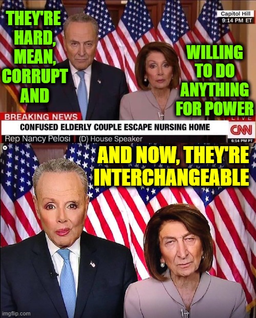 Republicans, are you willing to do what it takes to defeat evil? | THEY'RE 
HARD,
MEAN,
CORRUPT
AND AND NOW, THEY'RE INTERCHANGEABLE WILLING TO DO ANYTHING FOR POWER | image tagged in vince vance,nancy pelosi,chuck schumer,faces,evil,memes | made w/ Imgflip meme maker