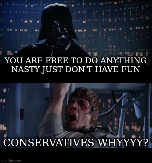 Star Wars No | YOU ARE FREE TO DO ANYTHING NASTY JUST DON'T HAVE FUN; CONSERVATIVES WHYYYY? | image tagged in memes,star wars no | made w/ Imgflip meme maker