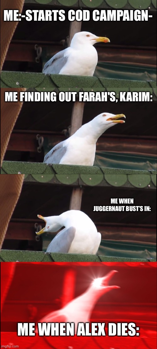 CoD Campaigns: | ME:-STARTS COD CAMPAIGN-; ME FINDING OUT FARAH'S, KARIM:; ME WHEN JUGGERNAUT BUST’S IN:; ME WHEN ALEX DIES: | image tagged in memes,inhaling seagull,call of duty | made w/ Imgflip meme maker