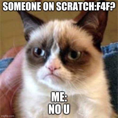 scratch.mit.edu | SOMEONE ON SCRATCH:F4F? ME:
NO U | image tagged in grumpycat | made w/ Imgflip meme maker