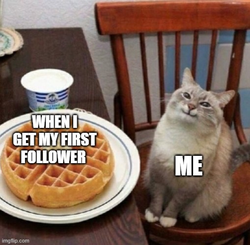 THANK you so much for this!!!! | WHEN I GET MY FIRST FOLLOWER; ME | image tagged in cat likes their waffle | made w/ Imgflip meme maker