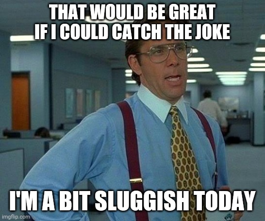 That Would Be Great Meme | THAT WOULD BE GREAT IF I COULD CATCH THE JOKE I'M A BIT SLUGGISH TODAY | image tagged in memes,that would be great | made w/ Imgflip meme maker