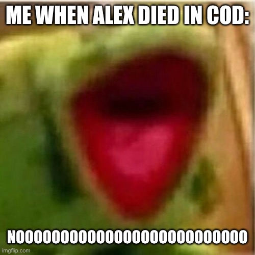 AHHHHHHHHHHHHH | ME WHEN ALEX DIED IN COD:; NOOOOOOOOOOOOOOOOOOOOOOOOOO | image tagged in ahhhhhhhhhhhhh | made w/ Imgflip meme maker