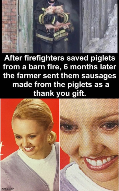 What a kind gift | image tagged in wait what,memes,funny,pig,sausage | made w/ Imgflip meme maker