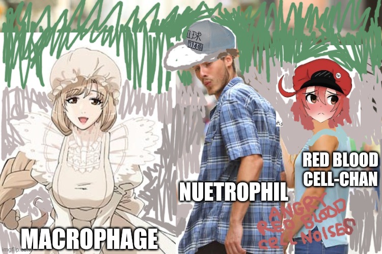 Cells at work | RED BLOOD CELL-CHAN; NUETROPHIL; MACROPHAGE | image tagged in memes,distracted boyfriend,cells at work | made w/ Imgflip meme maker