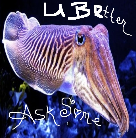 Cuttlefish Are the Level Beyond Next Level Times Question Mark Blank Meme Template