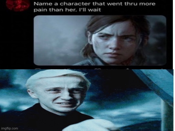 Name a character who went thru more pain than her | image tagged in harry potter,memes,draco malfoy,funny memes | made w/ Imgflip meme maker