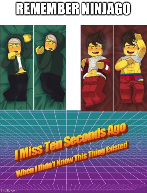 REMEMBER NINJAGO | image tagged in blank white template,i miss ten seconds ago,memes,bruh moment,bruh | made w/ Imgflip meme maker
