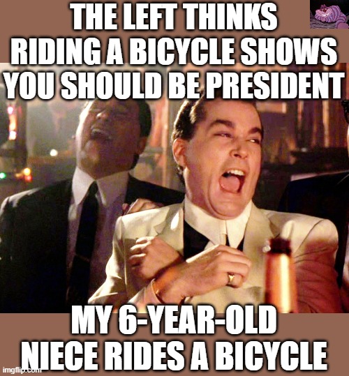 And that is all they have. | THE LEFT THINKS RIDING A BICYCLE SHOWS YOU SHOULD BE PRESIDENT; MY 6-YEAR-OLD NIECE RIDES A BICYCLE | image tagged in memes,good fellas hilarious | made w/ Imgflip meme maker
