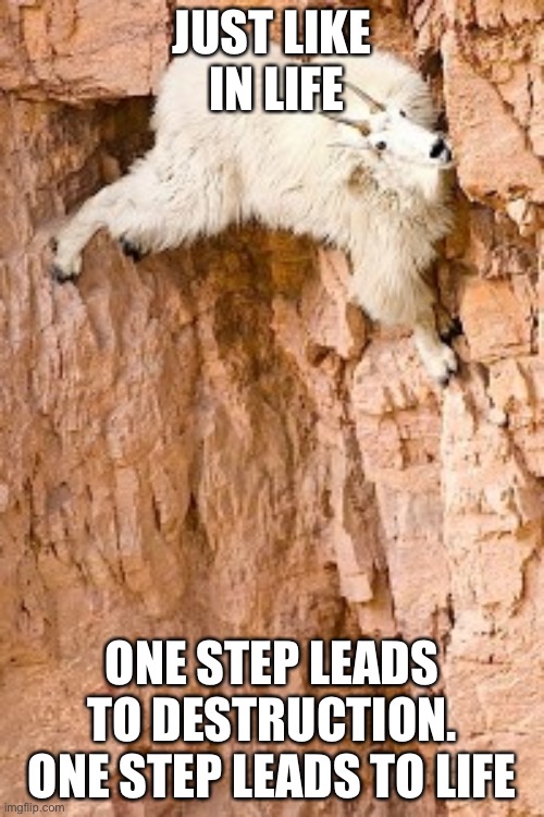 goat rock climbing | JUST LIKE
 IN LIFE; ONE STEP LEADS TO DESTRUCTION. ONE STEP LEADS TO LIFE | image tagged in goat rock climbing | made w/ Imgflip meme maker
