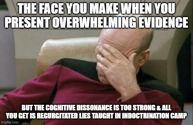 Captain Picard Facepalm | THE FACE YOU MAKE WHEN YOU PRESENT OVERWHELMING EVIDENCE; BUT THE COGNITIVE DISSONANCE IS TOO STRONG & ALL YOU GET IS REGURGITATED LIES TAUGHT IN INDOCTRINATION CAMP | image tagged in memes,captain picard facepalm | made w/ Imgflip meme maker