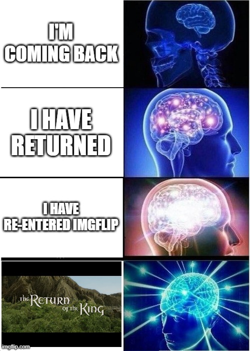 Expanding Brain Meme | I'M COMING BACK; I HAVE RETURNED; I HAVE RE-ENTERED IMGFLIP | image tagged in memes,expanding brain | made w/ Imgflip meme maker