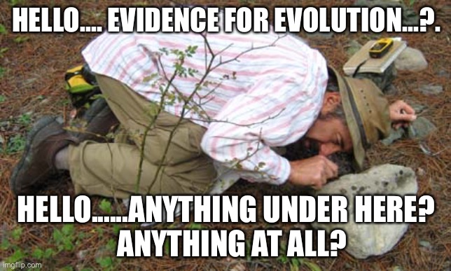 Dang… can’t find any evidence.  Thank Go… I mean, thank goodness the gullible people still fall for The Theory—I need my funding | HELLO.... EVIDENCE FOR EVOLUTION...?. HELLO......ANYTHING UNDER HERE?
  ANYTHING AT ALL? | image tagged in looking under rocks,there was no evolution,creation,everything has been created,by a creator,what just creates itself | made w/ Imgflip meme maker