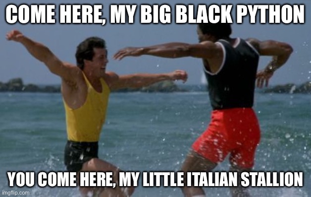 apollo creed rocky balboa beach1 | COME HERE, MY BIG BLACK PYTHON; YOU COME HERE, MY LITTLE ITALIAN STALLION | image tagged in apollo creed rocky balboa beach1 | made w/ Imgflip meme maker