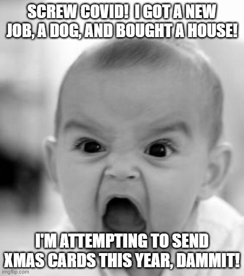 Angry Baby | SCREW COVID!  I GOT A NEW JOB, A DOG, AND BOUGHT A HOUSE! I'M ATTEMPTING TO SEND XMAS CARDS THIS YEAR, DAMMIT! | image tagged in memes,angry baby | made w/ Imgflip meme maker