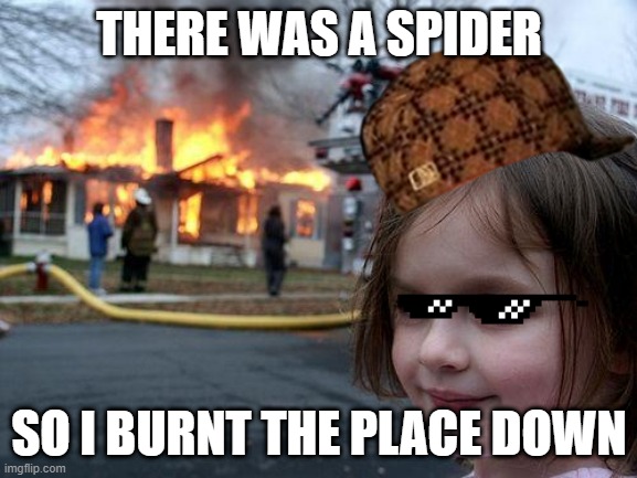 Disaster Girl | THERE WAS A SPIDER; SO I BURNT THE PLACE DOWN | image tagged in memes,disaster girl | made w/ Imgflip meme maker