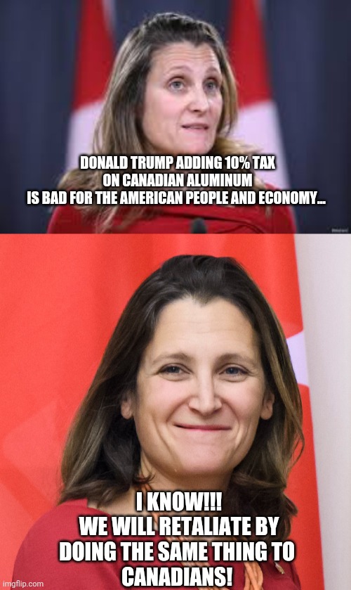Christia Freeland aluminum tariff. | DONALD TRUMP ADDING 10% TAX ON CANADIAN ALUMINUM
IS BAD FOR THE AMERICAN PEOPLE AND ECONOMY... I KNOW!!!
WE WILL RETALIATE BY
DOING THE SAME THING TO 
CANADIANS! | image tagged in tax | made w/ Imgflip meme maker