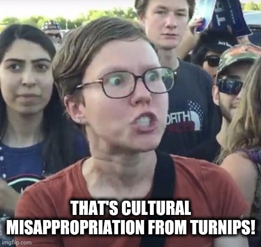 Triggered feminist | THAT'S CULTURAL MISAPPROPRIATION FROM TURNIPS! | image tagged in triggered feminist | made w/ Imgflip meme maker
