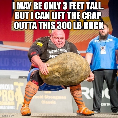 ROCK AND CULTURIST | I MAY BE ONLY 3 FEET TALL. 
BUT I CAN LIFT THE CRAP 
OUTTA THIS 300 LB ROCK | image tagged in rock and culturist | made w/ Imgflip meme maker