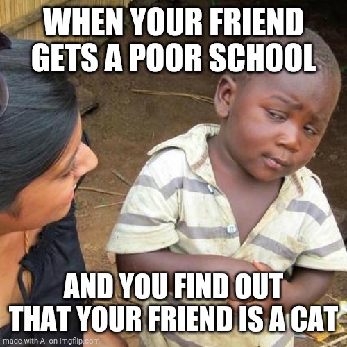 Yeah, cats don't get into the good schools | WHEN YOUR FRIEND GETS A POOR SCHOOL; AND YOU FIND OUT THAT YOUR FRIEND IS A CAT | image tagged in memes,third world skeptical kid | made w/ Imgflip meme maker