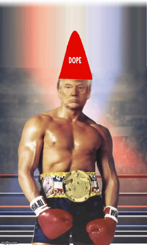 Rope-a-dope | image tagged in donald trump | made w/ Imgflip meme maker