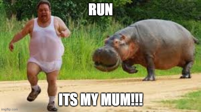 mum | RUN; ITS MY MUM!!! | image tagged in funny | made w/ Imgflip meme maker