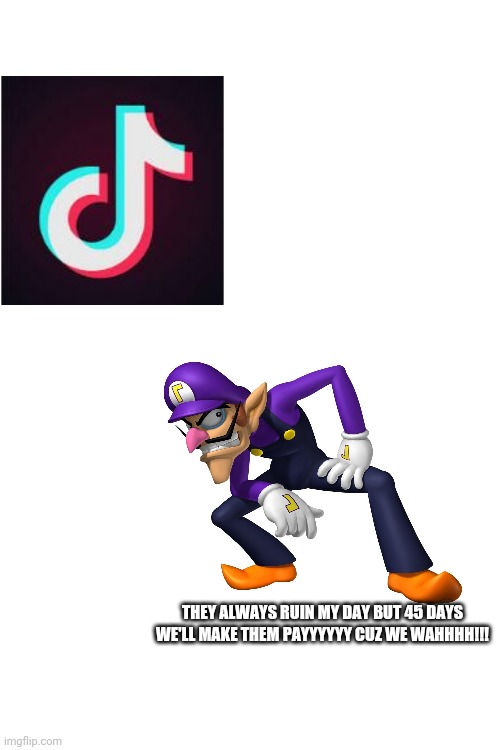 Blank White Template | THEY ALWAYS RUIN MY DAY BUT 45 DAYS WE'LL MAKE THEM PAYYYYYY CUZ WE WAHHHH!!! | image tagged in blank white template,memes,waluigi | made w/ Imgflip meme maker
