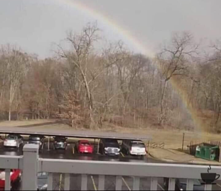 Rainbow Dumpster Blank Meme Template