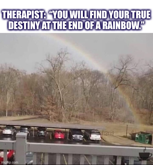 Well, sounds about right so far for 2020 | THERAPIST:  “YOU WILL FIND YOUR TRUE
DESTINY AT THE END OF A RAINBOW.” | image tagged in rainbow,dumpster,2020,meme,therapist,life | made w/ Imgflip meme maker