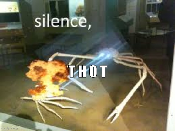 T H O T | image tagged in fun | made w/ Imgflip meme maker