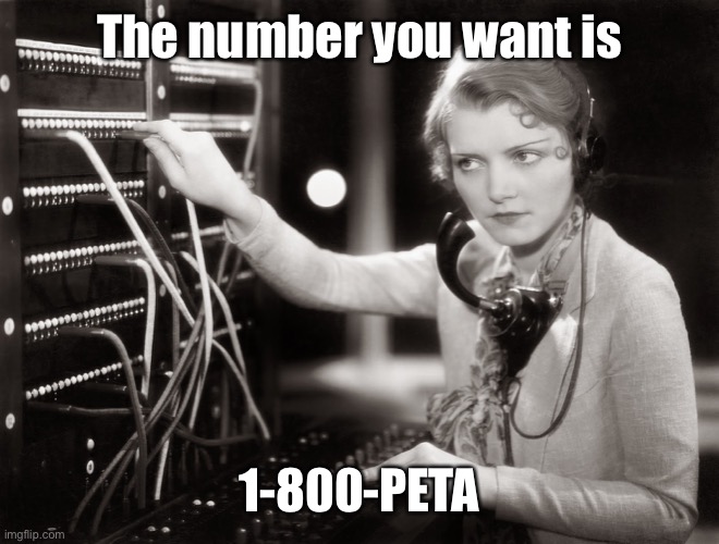 telephone operator | The number you want is 1-800-PETA | image tagged in telephone operator | made w/ Imgflip meme maker