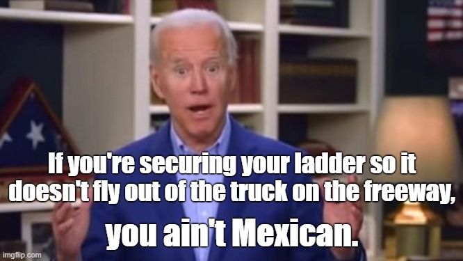 He can't help it... | If you're securing your ladder so it doesn't fly out of the truck on the freeway, you ain't Mexican. | image tagged in joe biden you ain't black | made w/ Imgflip meme maker