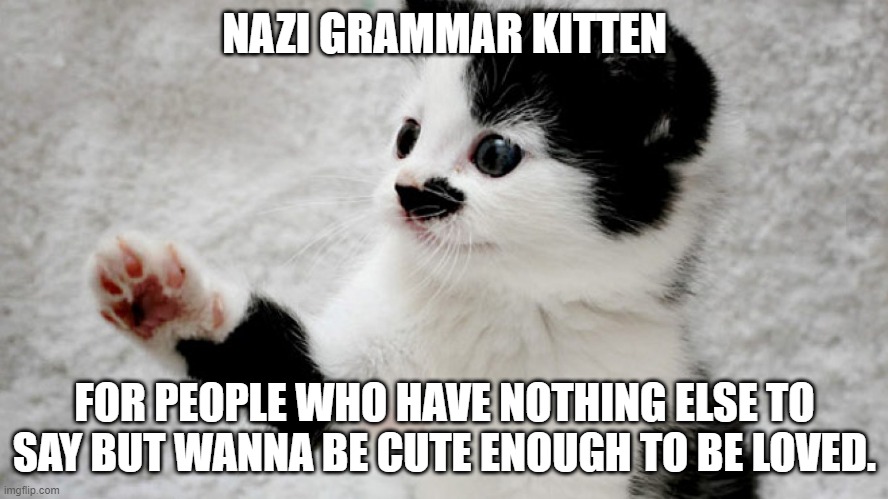 NAZI GRAMMAR KITTEN; FOR PEOPLE WHO HAVE NOTHING ELSE TO SAY BUT WANNA BE CUTE ENOUGH TO BE LOVED. | image tagged in grammar nazi | made w/ Imgflip meme maker