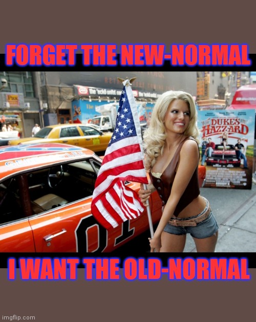 FORGET THE NEW-NORMAL I WANT THE OLD-NORMAL | made w/ Imgflip meme maker
