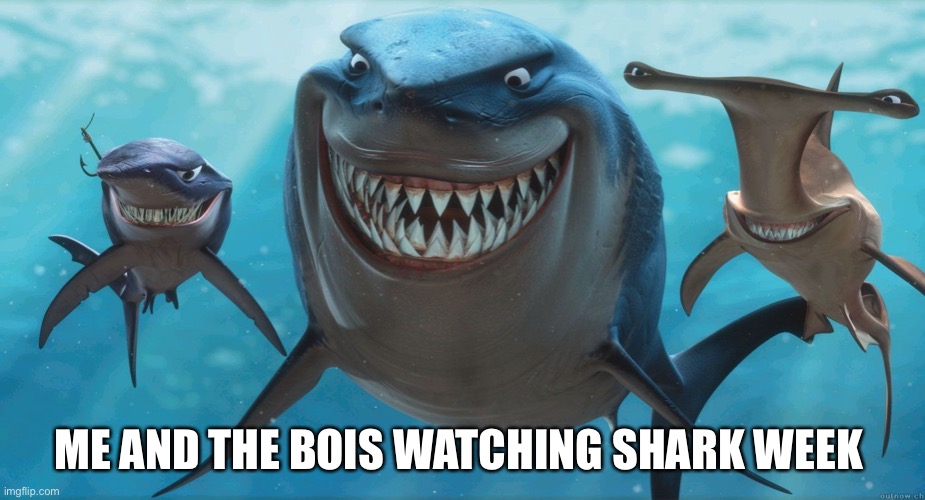 I love shark week! | ME AND THE BOIS WATCHING SHARK WEEK | image tagged in shark week | made w/ Imgflip meme maker